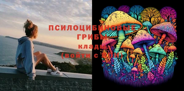 марки lsd Покачи