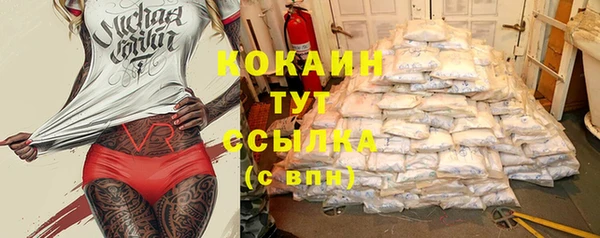 ALPHA PVP Покров