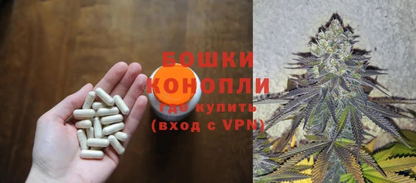 ALPHA PVP Покров