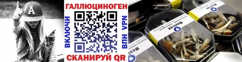 mega как войти  магазин  наркотиков  Струнино  Галлюциногенные грибы прущие грибы 